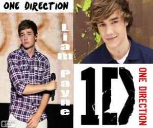 Puzzle Liam Payne, One Direction